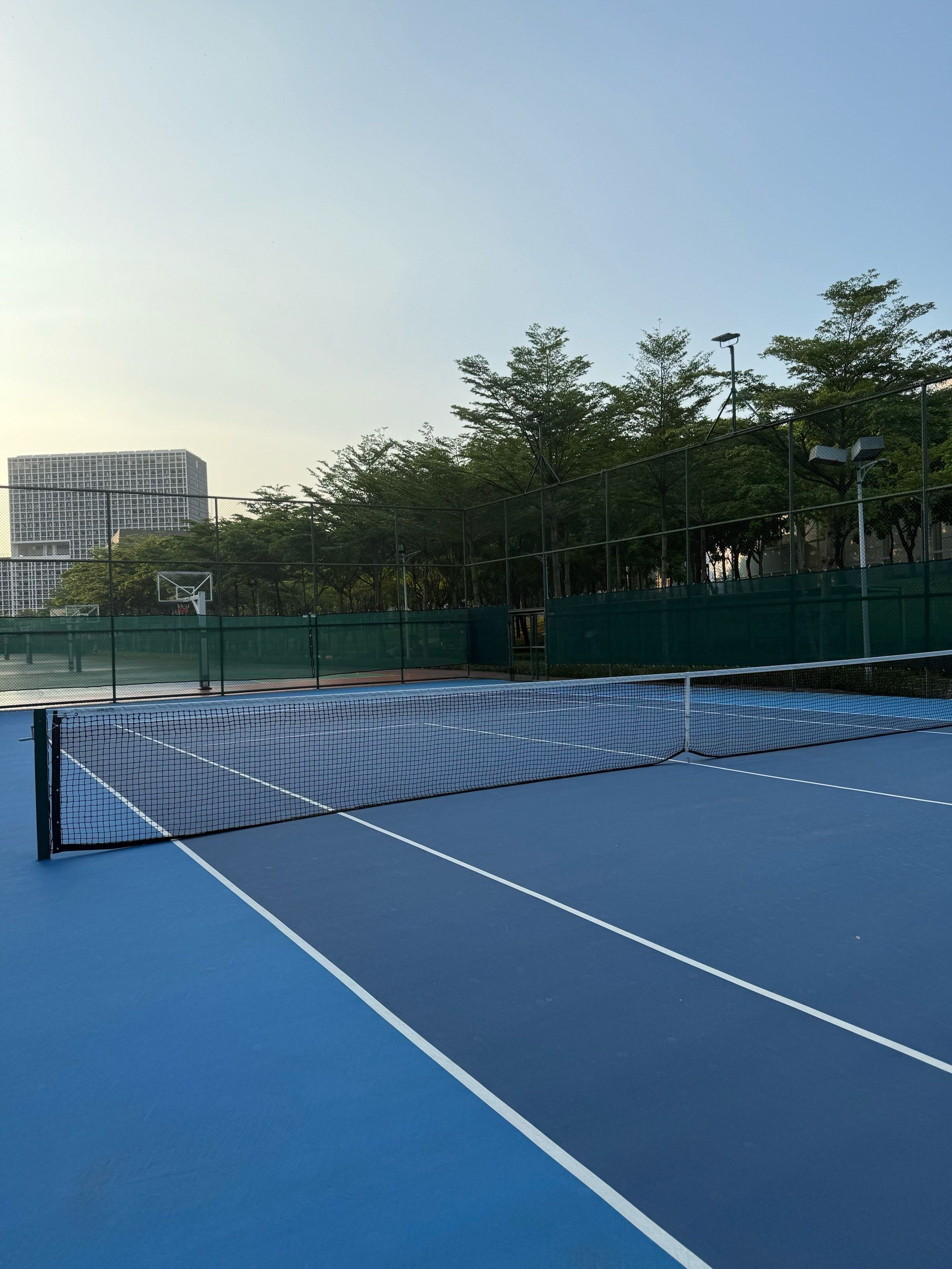 如果他们不 如果他们不