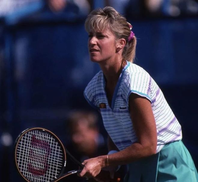 绽放光辉 绽放光辉