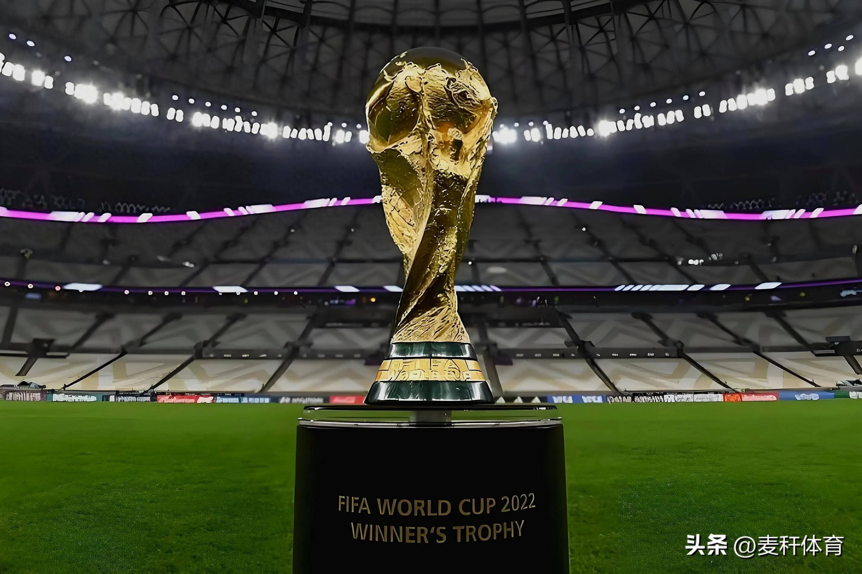 季赛直播 季赛直播