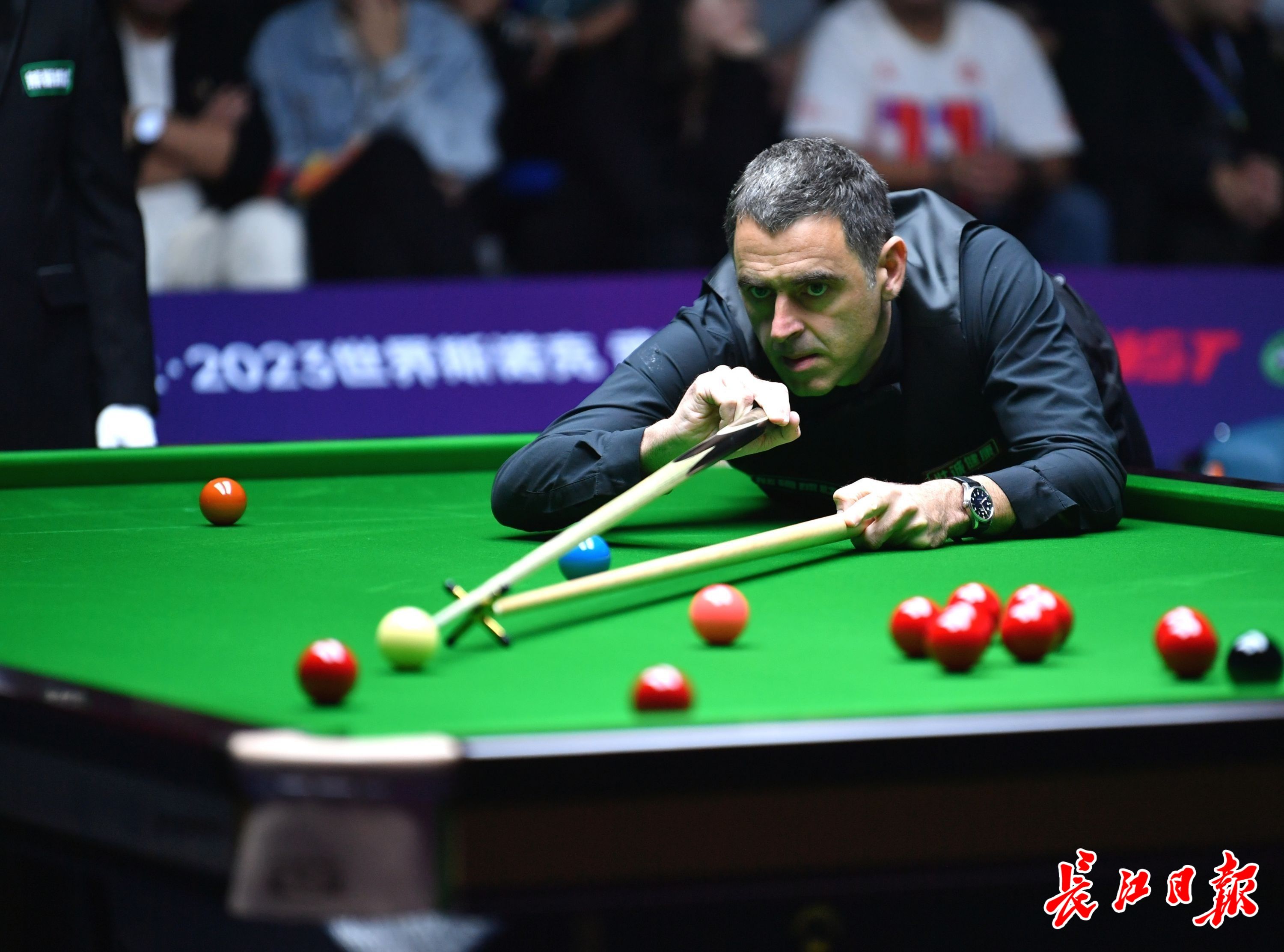 便宜的摊牌 便宜的摊牌